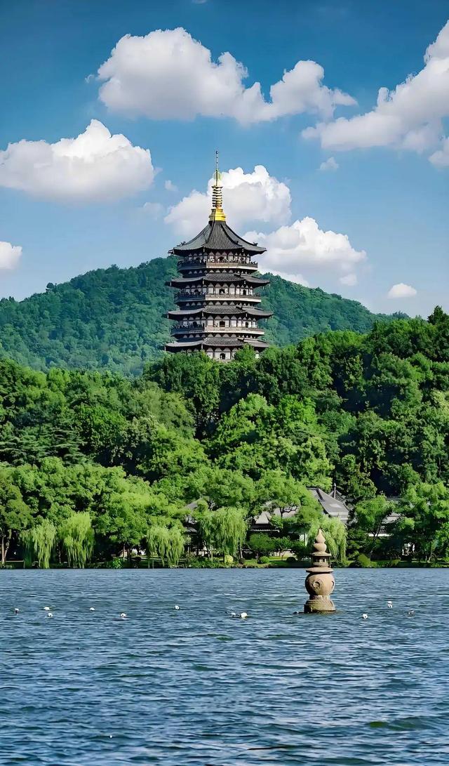 仙人掌app下载污免费